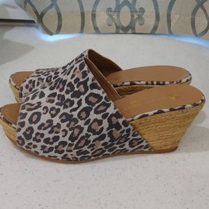 Eric Michael Leopard Print Wedge Slide Sandals